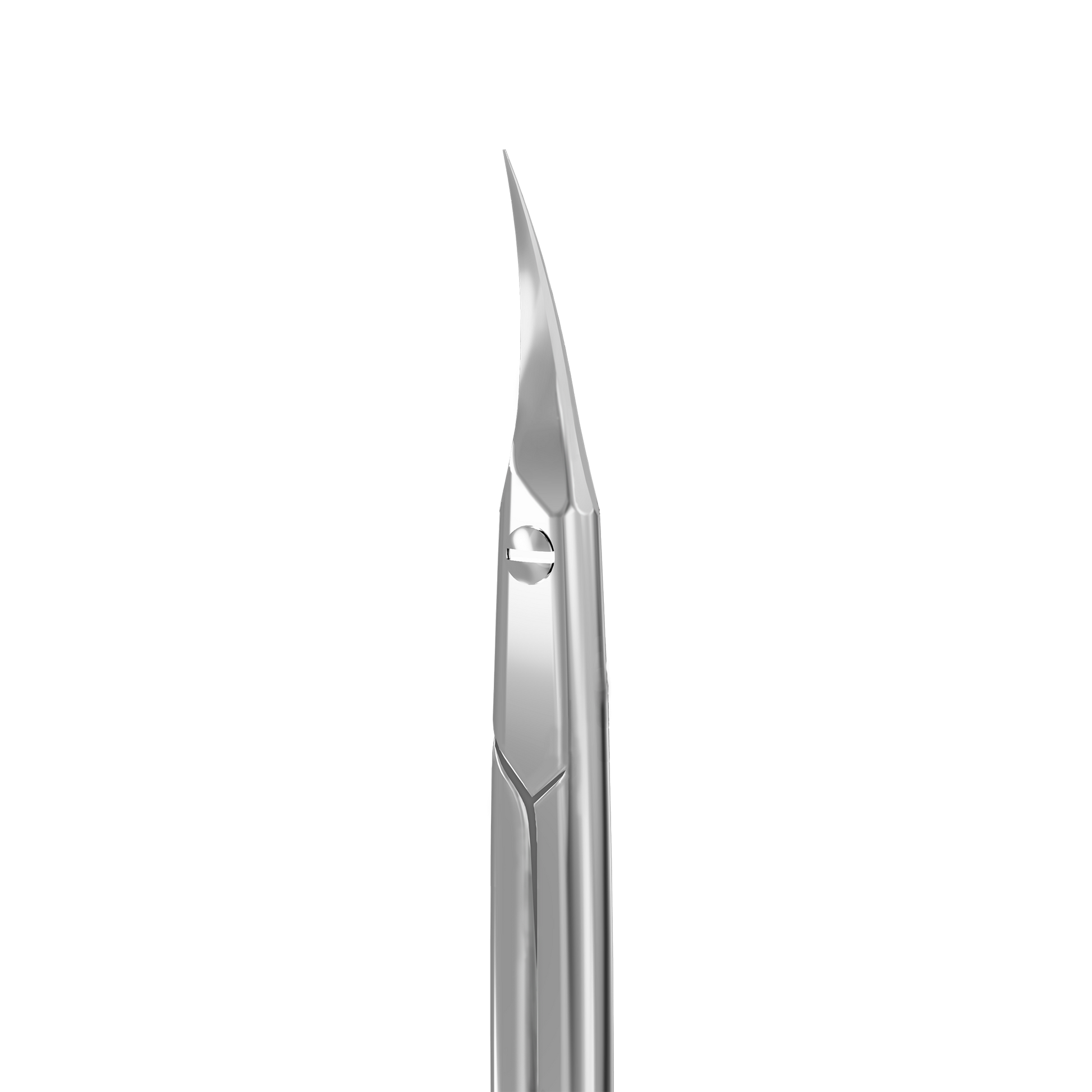 STALEKS CUTICLE SCISSORS EXPERT 50 TYPE 1 (SE-50/1)